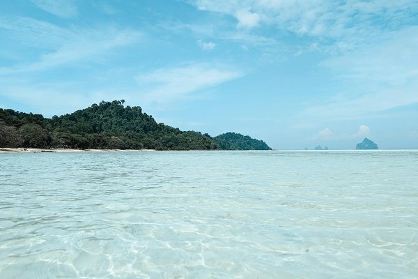 Decouvertes Culinaires