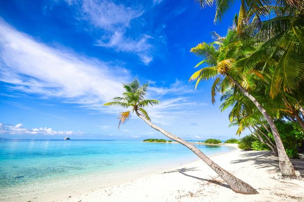 Quels sont les meilleurs conseils pour camper en région de lagunes?