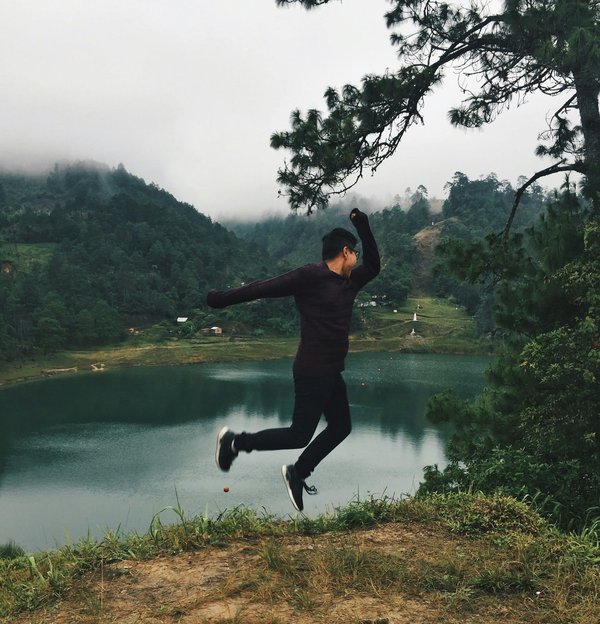 Quels hébergements en Islande offrent des séjours avec des excursions pour observer les baleines et des cours de photographie ?